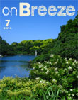 Log On Breeze